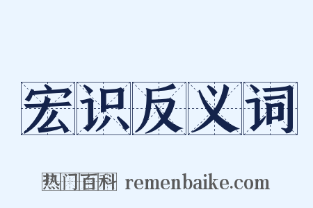 宏识反义词是什么意思的图片